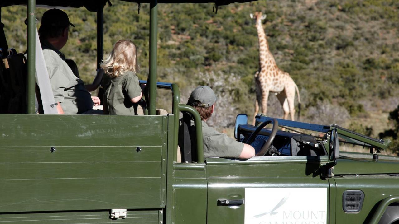Mount Camdeboo Private Game Reserve Graaff-Reinet Buitenkant foto